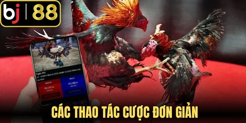 Các thao tác cược đơn giản