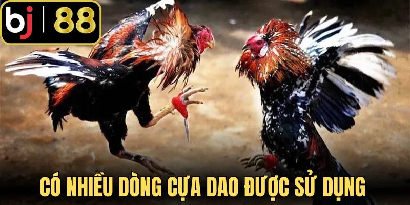Có nhiều dòng cựa dao được sử dụng