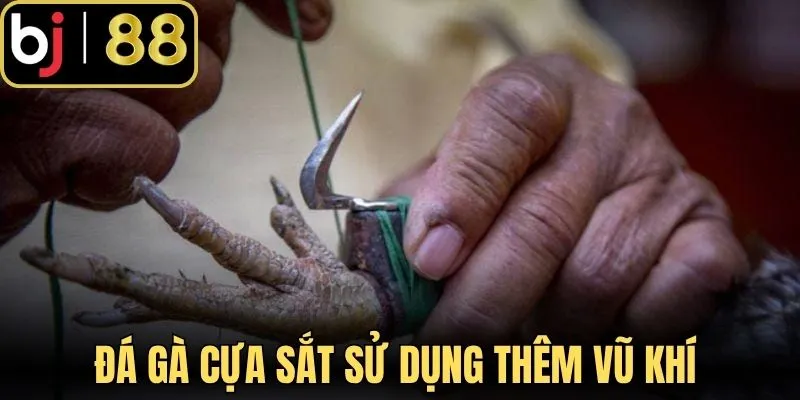 Đá gà cựa sắt sử dụng thêm vũ khí
