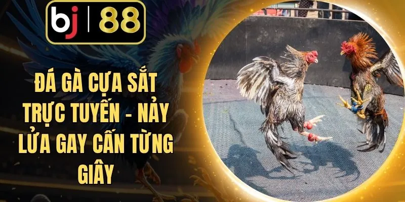Đá Gà Cựa Sắt Trực Tuyến - Nảy Lửa Gay Cấn Từng Giây