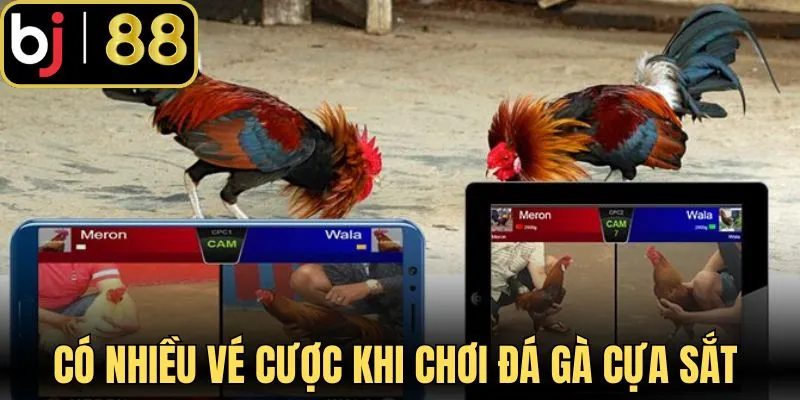Có nhiều vé cược khi chơi đá gà cựa sắt