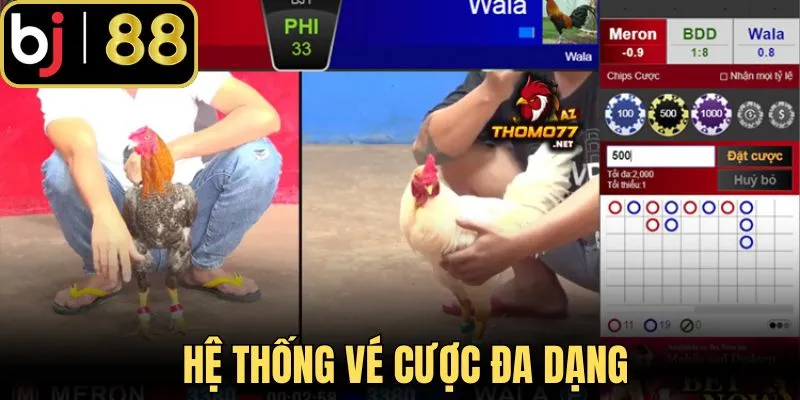 Hệ thống vé cược đa dạng