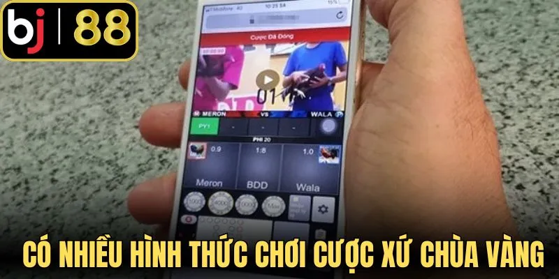 Có nhiều hình thức chơi cược xứ Chùa Vàng