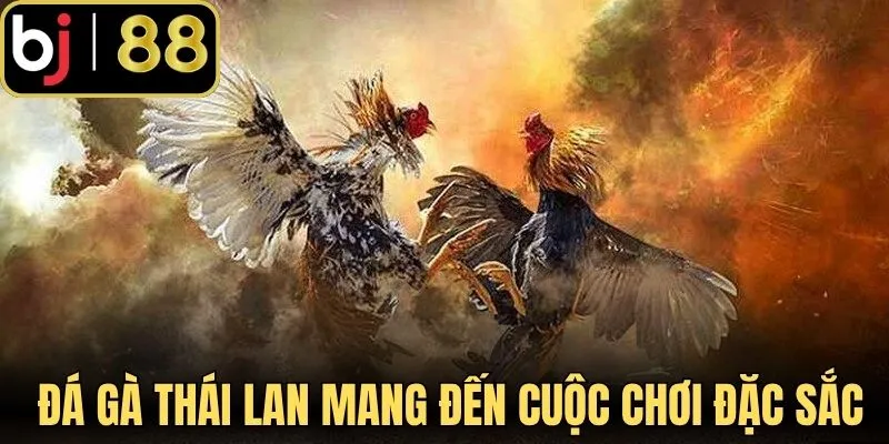 Đá gà Thái Lan mang đến cuộc chơi đặc sắc